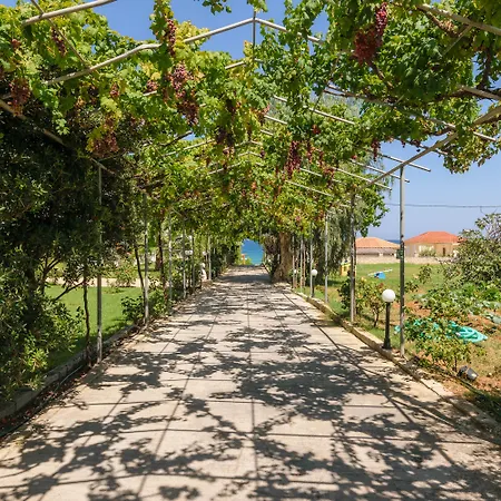 ホテル Belussi & Psarou (Zakynthos)